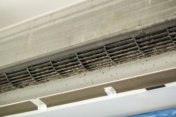 Best HVAC Duct Inspection Services  in Waukegan, IL